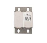 Fusible 170M1772-1773-1774-1775-1776-1777-1778-1779-1780-1781 doble cuerpo(170M1779)