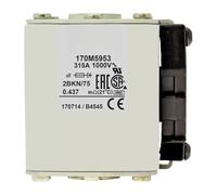 Fusible 170M5922 170M5923 170M5924 170M5925 170M5926 170M5927 170M5928 170M5929 170M5930 170M5931(170M5928)