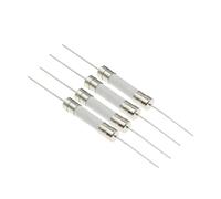 Fusible cerámico de acción rápida, 100 unidades de fusibles cerámicos 6 x 30 mm, acción rápida y lenta, con pin, 250 V, 8 A, 10 A, 15 A, 20 A, 25 A, A (8 A)(25A)