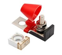 Fusible de batería de grúa 30A 40A 50A 60A 75A 80A 90A 400A 500A fusible de alta corriente(250A)