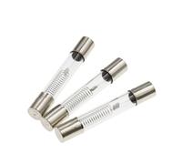 Fusible de tubo vidrio 5 kV, 6 x 40 mm, 0,65 A,7 A,75 A,8 A,85 A,9 A y 1 A, 5000 V, 700 mA, 100 unidades(1A)