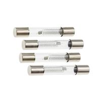 Fusible Especial For Horno Microondas De 5KV, 6X40MM, 0,65A, 0,7A, 0,75A, 0,8A, 0,85A, 0,9A, 1A, Fusible De Tubo De Vidrio De 5000V, 700MA, 6x40mm, Fusible De Alta Presión(0.65A,100PCS)