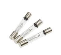 Fusible for horno microondas de 5 kV, 6 x 40 mm, 0,65 A,7 A,75 A,8 A,85 A,9 A, 1 A, tubo fusible, 5000 V, 700 mA(0.85A)