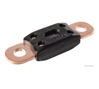 Fusible HERTH+BUSS ELPARTS 95980803003