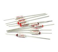 Fusible térmico TF RY 10A 250V Temperatura 65 °C - 185 °C 192 °C 200 °C 216 °C 240 °C 280 °C 300 °C 5 piezas(65C)