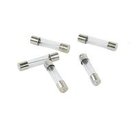 Fusibles 100 piezas Kit surtido de fusibles vidrio soplado rápido, 630 mm 250 V 1A 2A 3A 4A 5A 6A 8A 10A 15A 20A 25A 30A tubo AMP(10a)