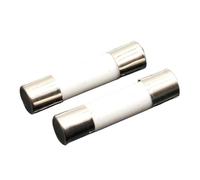 Fusibles eléctricos cerámicos, Fusible cerámico de red de 5 mm x 20 mm, de acción lenta, T, 0,5 A-20 A, 250 V, paquete de 10(10A)
