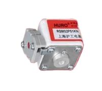 Fusibles RSM02P51KN 690 V 200 A RSM02P51KN 690 V 300 A RSM03P51KN 690 V 800 A RSM01P51KN RSM05P51KN(RSM05P51KN)