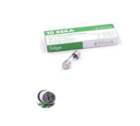Fusibles Temporizados de Vidrio, 630 mA, 250 V AC, 5 x 20 mm, lote de 10
