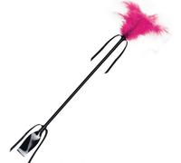 Fusta con Pluma - Caricias y Azotes en un Solo Accesorio | noestabu.com