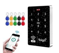 FUSYTULY WiFi Tuya App Teclado de Control de Acceso IP68 Impermeable de Doble Frecuencia 125KHz / 13,56 MHz Controlador de Acceso de Contraseña táctil + 10 Tarjeta Clave
