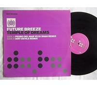 Future Breeze - Temple of Dreams [Vinilo]
