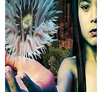 future sound of london, the - lifeforms