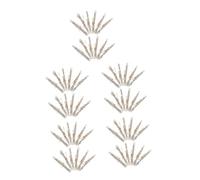 FUTUREORYY 5 Juegos De Pergaminos Bíblicos para Puerta Decoración del Hogar Bendición del Hogar Pergaminos Judíos Artículos Religiosos para Puerta 12 Piezas x 5