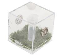 FUTUREORYY Caja De Cría De Arañas Saltadoras Transparente De Acrílico Hábitat para Insectos Pequeño para Arañas y Reptiles Contenedor De Cría para Colección o Exhibición