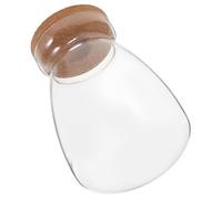 FUTUREORYY Frasco de con Tapa de Corcho para de Paisaje de Escritorio Botella Sellada para Propagación Hidropónica de Suculentas Decoración Ecológica para Oficina y