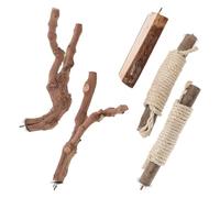 FUTUREORYY Juego de 5 Perchas para Pájaros para Jaulas Grandes, Soporte de Madera Natural con Ramas y Cuerda, Perchas Grandes para Loros y Aves Exóticas, Accesorio para Jaula de