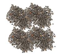 FUTUREORYY Piedras Decorativas Naturales para Acuarios 2-5 Mm 50 G Kit de Material de Roca en Miniatura para Paisajes Ferroviarios y Dioramas para Peceras y Jardines