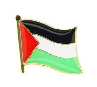 FUXIU Escudo del brazo de Palestina, emblema nacional, bandera del mundo, broche esmaltado, aleación, Como descripción detallada