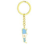 FUXIU Llavero con bandera de mapa de Argentina, llavero de acero inoxidable, llavero con colgante de joyería de recuerdo de Argentina, regalo para mujeres y hombres, dorado, As detailed discription