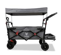 FUXLIFE Beach Handcart FX-CTB800 Gris - Carrito Plegable para Playa y Ocio - Interior Acolchado - Toldo para el Sol - Ruedas Todoterreno para Arena y Terreno - Estable y Plegable