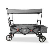 FUXLIFE Bollerwagen FX-CT500 Grau