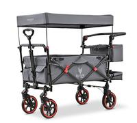 FUXLIFE Carro Plegable FX-CT850 Gris • Bollerwagen para niños con cinturones de 5 puntos • Carro familiar plegable con toldo parasol • Capacidad de carga 75 kg • Ideal para playa y excursiones