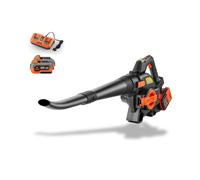 FUXTEC 40 Volt 2in1 Akku-Laubbläser/-sauger Set FX-E2LBS-SET Negro