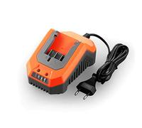 Fuxtec FX-E1LG2A - Cargador rápido de iones de litio (2,4 A, 70 W, para batería de 2 Ah y 4 Ah, para herramientas de jardín de 20 V, tensión de carga: 20,9 V)