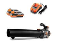 FUXTEC Soplador de Hojas a batería 20V FX-E1LB20 con 2 baterías de 2 Ah y Cargador de 2,4 A, Velocidad de Aire hasta 38 m/s, Ligero y silencioso, para jardín, Caminos y entradas