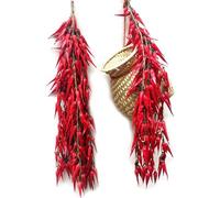 FuyoSegen Paquete de 5 Verduras Artificiales de imitación, ajo, Chile Rojo, pimientos Artificiales, Cuerda Colgante para decoración de Pared, hogar, Cocina, Fiesta, Accesorios de fotografía (Chile)