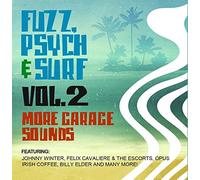 Fuzz, Psych & Surf, Vol. 2 - More Garage Sounds