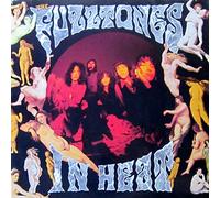 Fuzztones - In heat (1989) [VINYL]