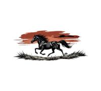 FVDPWYE Car Sticker Vinilo Decorativo Auto con Diseño Creativo Caballo PETG Impermeable y para SUV Camioneta Sedan Vehículo 180cmx50cm