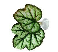 FVPKYUR 6×8×3CM Almohadilla De Hoja De Betta, Hamaca De Betta, Hamaca De Hoja De Cama Verde, De Pecera, Ligera, Planta De De Cama para Acuario