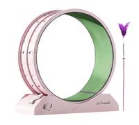 FVPKYUR Bicicleta de ejercicio para gatos, rueda de ejercicio para gatos, cinta de correr para fitness, bicicleta con teaser para gatos interiores, pérdida de peso, cinta de correr para gatitos con