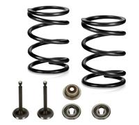 FVRITO Racing - Kit de resortes de válvula de 18 libras para Predator 196cc 212cc 224cc Non Hemi Honda GX160 GX200 6.5HP OHV Clone Engine Mini Bike CT200U BT200X Powerhorse 208cc Tillotson KT196 Go