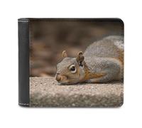 FWJZDSP Cartera para Hombre Squirrel Just Laying, de Cuero de Gran Capacidad, Delgada, con Ventana para identificación, Plegable, para Uso Diario.
