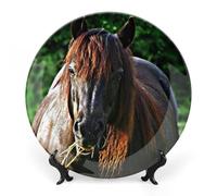FWJZDSP decorativo de cerámica para pared con soporte de exhibición, 25 cm, diseño de caballo de rancho, de postre moderno, llano, de mesa de cocina, arte de mesa, vajilla, de