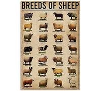 FWJZDSP Letrero de metal con conocimiento de ovejas, diseño retro de razas de ovejas, póster de escuela, granja, cafetería, bar, dormitorio, baño, cocina, arte del hogar, decoración de pared