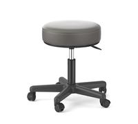 FXLUHAY Taburete Master Saddle con Asiento de Acero Inoxidable Plateado, Altura 45~58 cm, Peso soportado 160 kg, Taburete Redondo for Escritorio de Oficina de SPA médico(A)