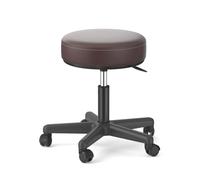 FXLUHAY Taburete Master Saddle con Asiento de Acero Inoxidable Plateado, Altura 45~58 cm, Peso soportado 160 kg, Taburete Redondo for Escritorio de Oficina de SPA médico(C)