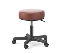 FXLUHAY Taburete Master Saddle con Asiento de Acero Inoxidable Plateado, Altura 45~58 cm, Peso soportado 160 kg, Taburete Redondo for Escritorio de Oficina de SPA médico(D)
