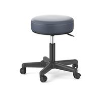 FXLUHAY Taburete Master Saddle con Asiento de Acero Inoxidable Plateado, Altura 45~58 cm, Peso soportado 160 kg, Taburete Redondo for Escritorio de Oficina de SPA médico(B)