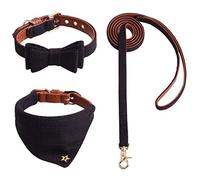 fxwtich Juego de 3 piezas de collar para mascotas, estampado a cuadros, estilo vintage, lazo, corbata, collar de perro, correa de cuerda de plomo mediana y grande para collar de perro al aire libre,