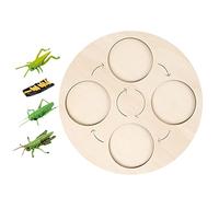 Fxzqgnh Juguetes de Madera para Niños, Juguetes Educativos para La Infancia, Idea de Regalo para Niños Y Niñas en Edad Preescolar, Grillo