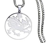 fycouyee Drácula dragón collar de acero inoxidable hombre mujer runa de plata colgante adorno