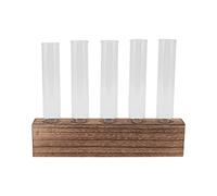 Fydun Elegante Estación de Propagación de Plantas de Vidrio con Soporte de Madera - Terrario de Escritorio para Decoración del Hogar - Incluye 5 Tubos de Ensayo y Cepillo - Ideal para Flores Frescas