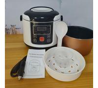 Fydun Mini Olla Arrocera 2L Pequeña Olla Arrocera Eléctrica Olla Arrocera de Viaje Función de Mantener Caliente para 2 a 4 Personas 12 V para Familias (12V)