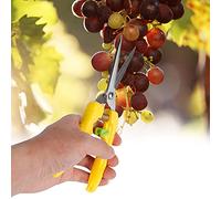 Fydun Picientes de Cabaldas de Planta de Acero Inoxidable de 205 Mm Garden Bonsai Flower and Fruit Troim Skears